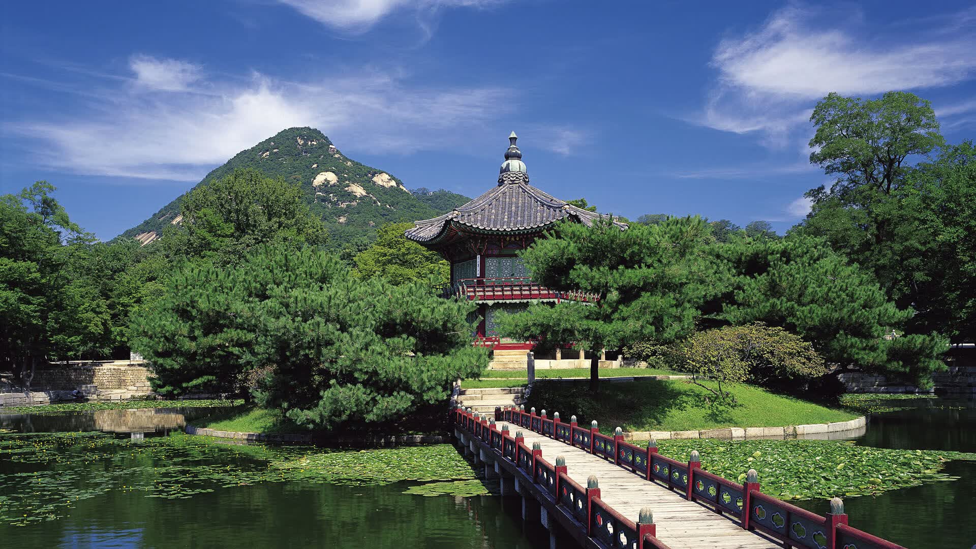 世界短道速滑赛季统计分析成研究热点，2021世界短道速滑比赛时间